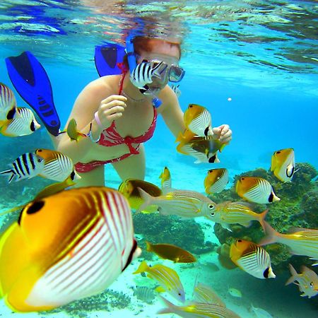 Sanctuary Rarotonga On The Beach (Adults Only) Exterior foto